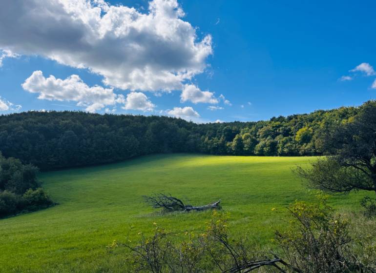 Grüne landwirtschaftliche und forstwirtschaftliche Flächen in Lúčky mit Bäumen und Himmel mit Wolken.