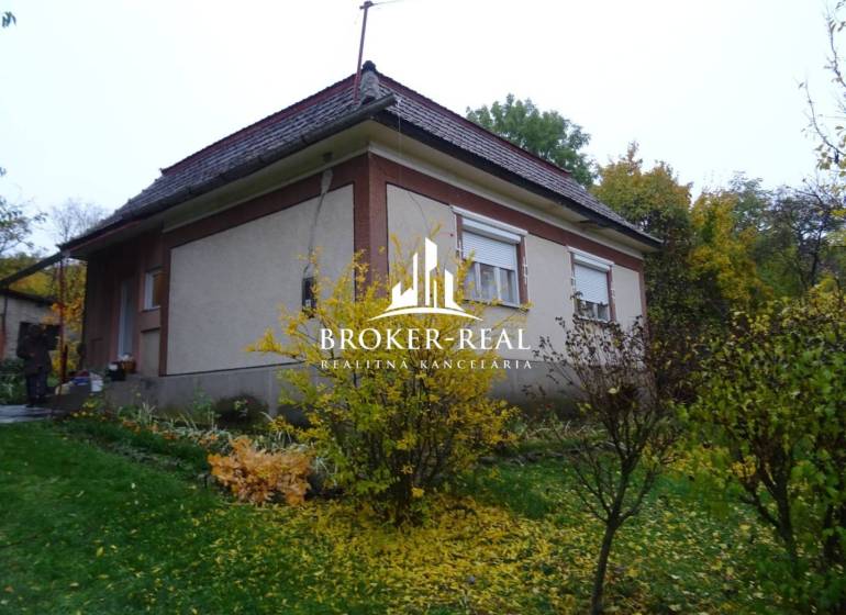 Ein Einfamilienhaus umgeben von Grün und Sträuchern, Fony.