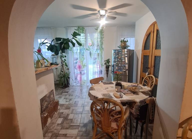 Esszimmer in einem Einfamilienhaus mit Pflanzen und Holzstühlen, beleuchtet von einem Deckenventilator.