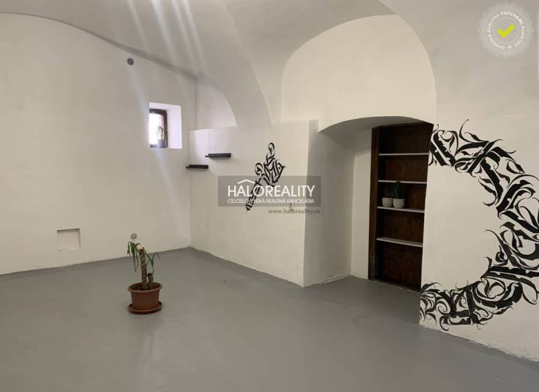 Büros mit weißen Wänden, Blumenmuster und einer kleinen Topfpflanze.