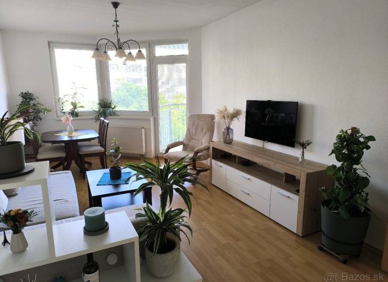 Wohnzimmer in einer 2-Zimmer-Wohnung mit Holzboden und vielen Pflanzen.