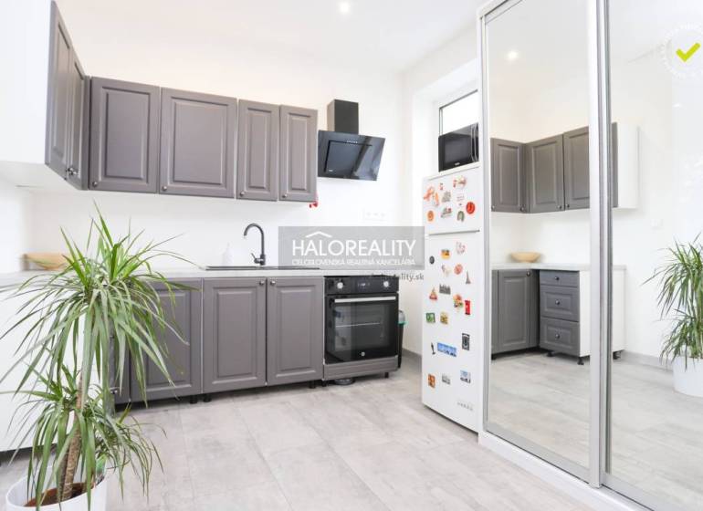 Küche in einer 2-Zimmer-Wohnung mit weißen Wänden, grauen Schränken und einer Pflanze.