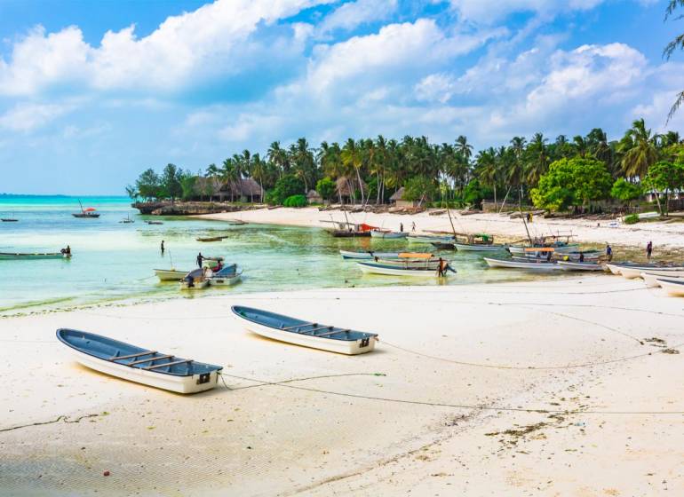 Strand mit Booten und Palmen in Kizimkazi, ideal für Gewerbegrundstücke.