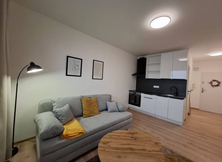 Einzimmerwohnung mit Küche, Sofa und Holzboden, minimalistische Dekoration an der Wand.