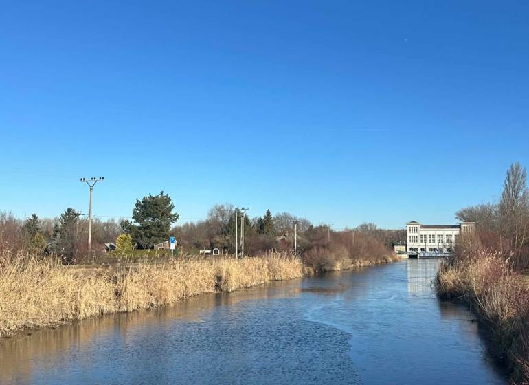 Ein Fluss umgeben von Schilf in den Gärten der Neuen Siedlung in Komárno unter blauem Himmel.