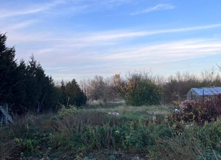 Garten bei einem Einfamilienhaus in Kajal mit Grün und blauem Himmel.