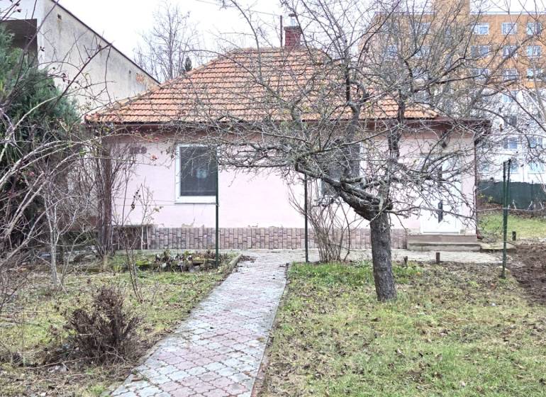 Ein Einfamilienhaus in Levice in der Straße 29. augusta mit Vorgarten und Bäumen.