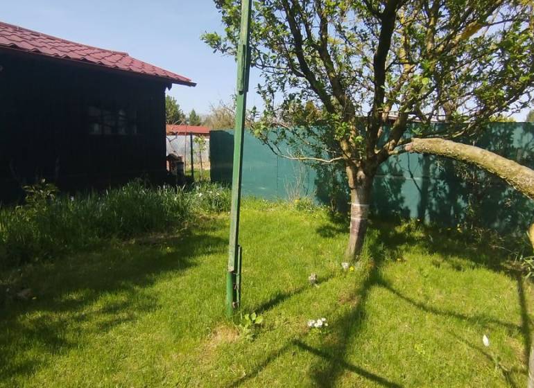 Gärten in Šaľa mit Rasen, Baum und geflochtenem Zaun bei sonnigem Wetter.