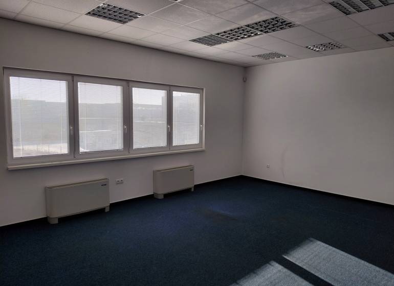 Innenräume von Lagern und Hallen mit blauem Teppich, großen Fenstern und weißen Wänden.