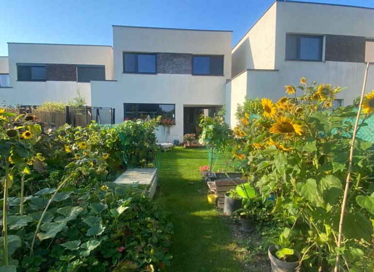 Ein Garten mit Pflanzen und Sonnenblumen vor einem Einfamilienhaus in der Radová-Straße in Nová Dedinka.