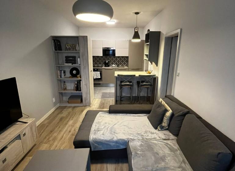 Wohnzimmer mit Küche in einer 2-Zimmer-Wohnung, graues Sofa, Boden mit Holzdekor.