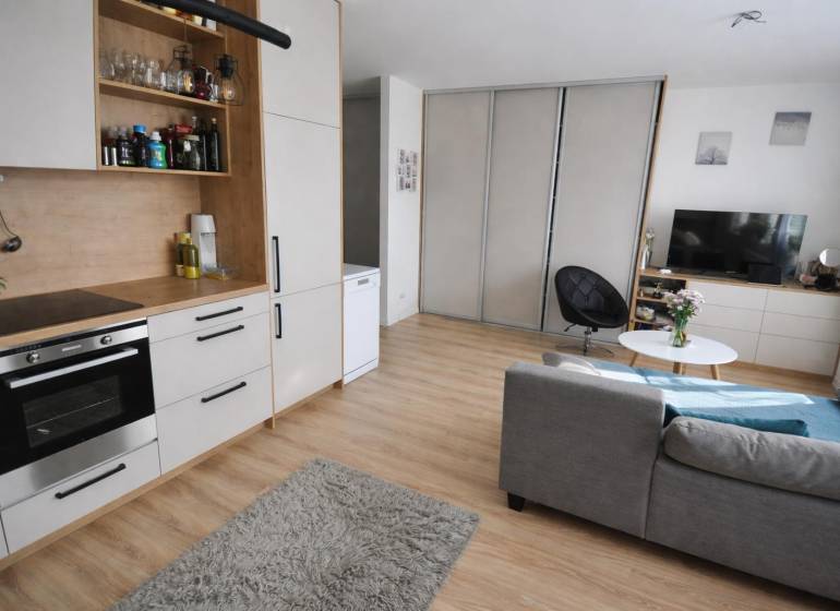 Innenraum einer 1-Zimmer-Wohnung mit grauem Sofa, Küchenzeile und Boden in Holzoptik.