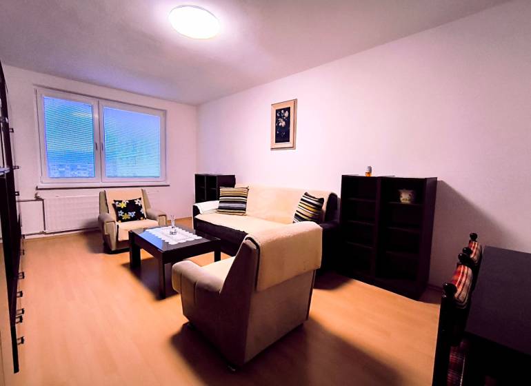 Wohnzimmer in einer 2-Zimmer-Wohnung mit minimalistischen Möbeln und einem Boden in Holzoptik.