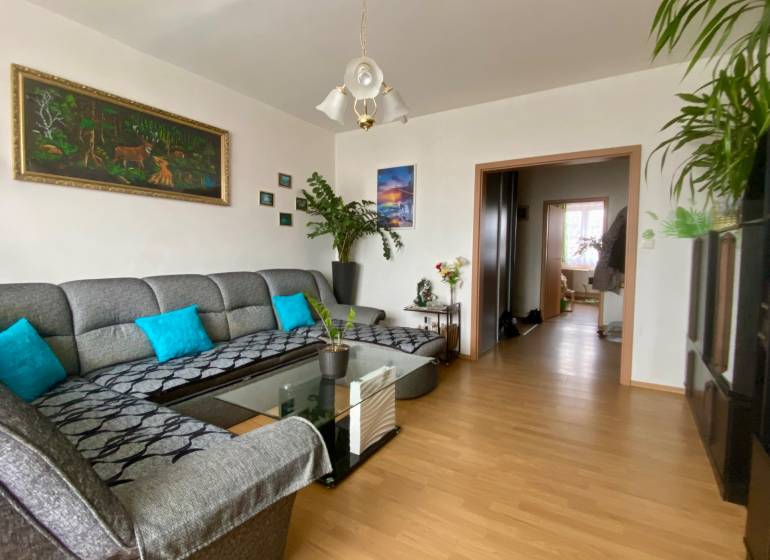 Wohnzimmer in einer 3-Zimmer-Wohnung mit Sofa, Holzboden und Dekorationen.