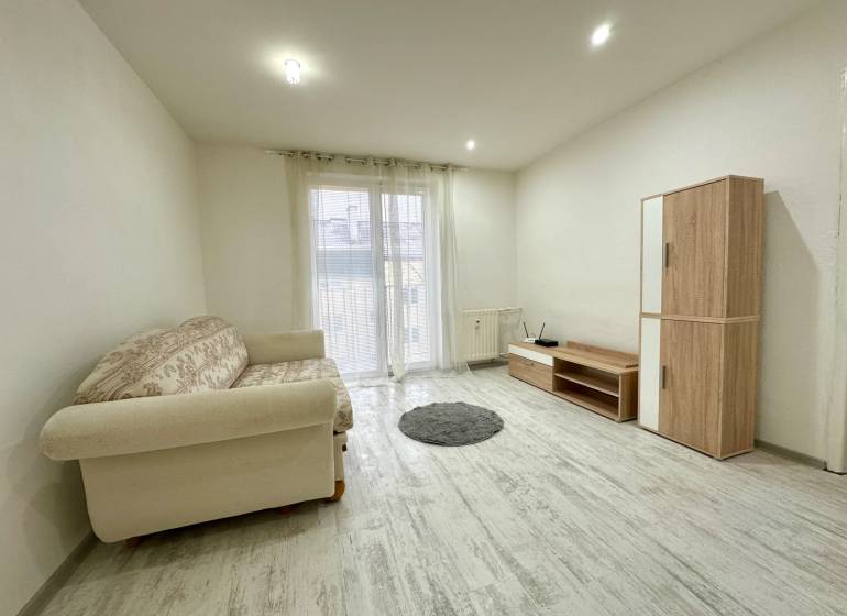 Wohnzimmer in einer 2-Zimmer-Wohnung mit Sofa, Schrank und Boden in Holzoptik.