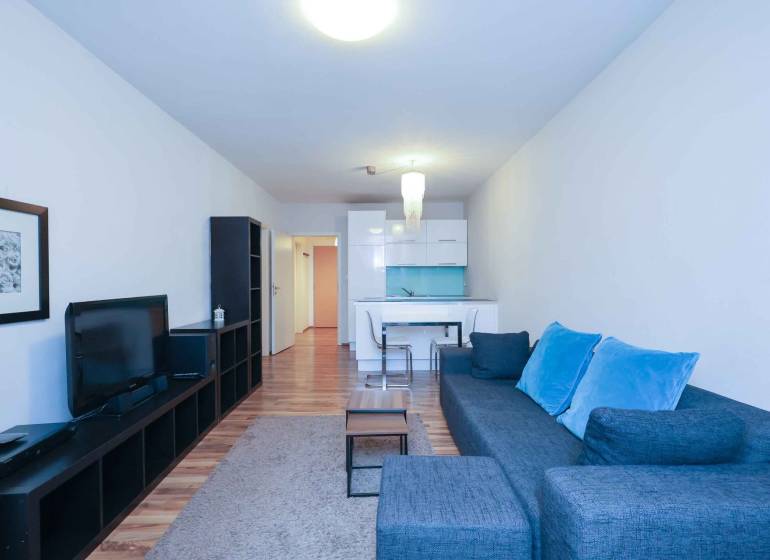 Wohnzimmer mit Sofa und Fernseher in einer 2-Zimmer-Wohnung, Boden mit Holzdekor.