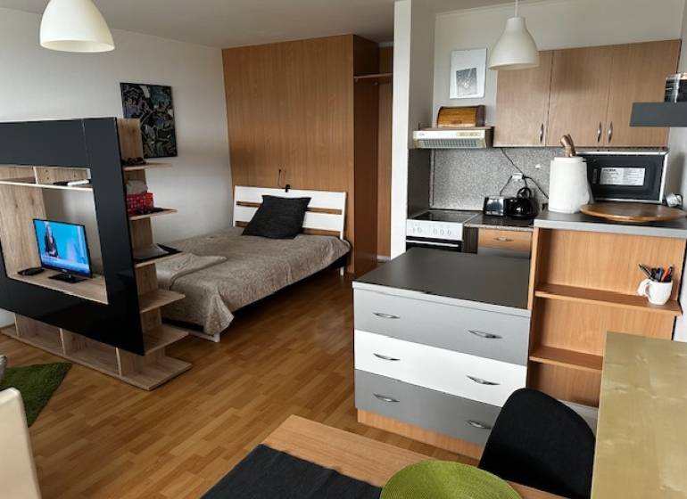 Innenraum einer Einzimmerwohnung mit Holzboden, Bett und Fernseher.