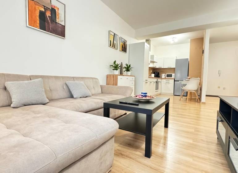 Wohnzimmer mit Sofa, Holzboden und Küche in einer 2-Zimmer-Wohnung.