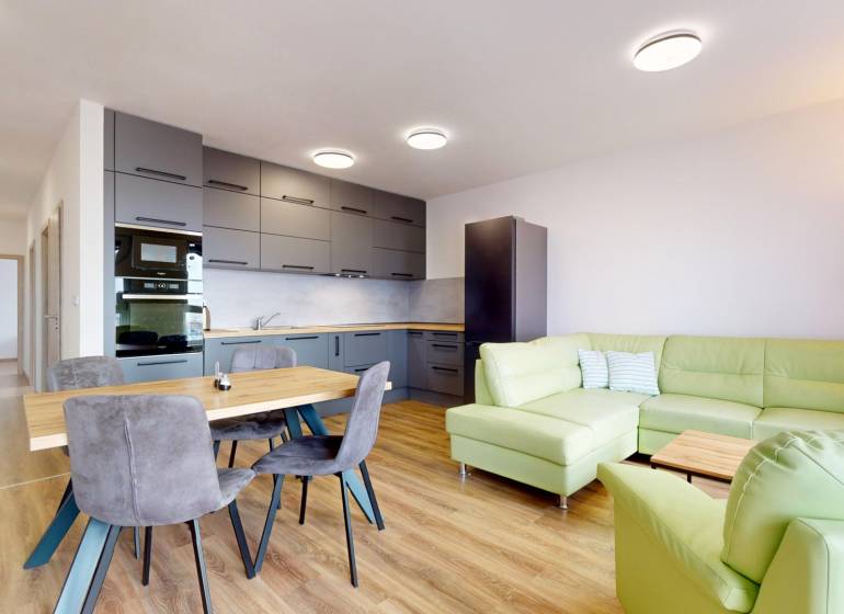 Küche mit Wohnzimmer in einer 3-Zimmer-Wohnung, grünes Sofa, Boden mit Holzdekor.