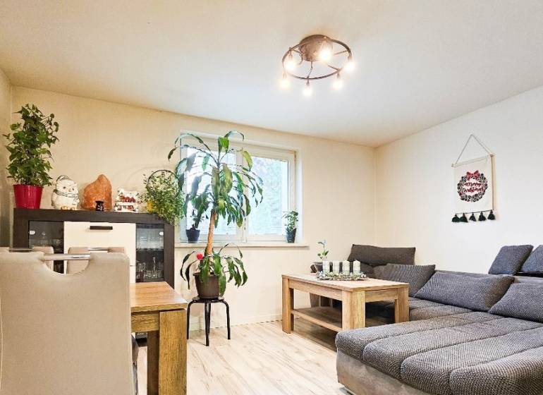 Wohnzimmer mit Sofa, Esstisch, Zimmerpflanzen und Boden mit Holzdekor.