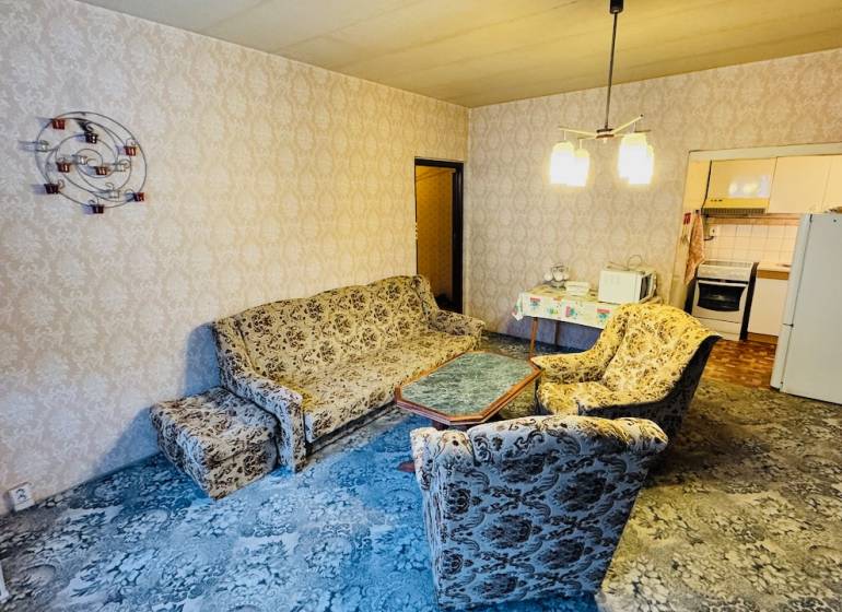 Wohnzimmer mit Retro-Sofa, gemusterter Teppich, Zugang zur Küche in einer 2-Zimmer-Wohnung.