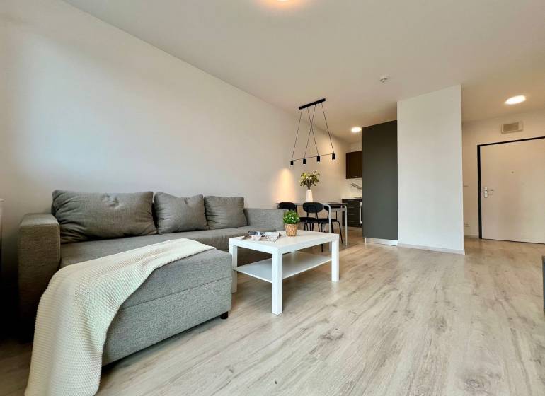 Wohnzimmer mit Holzboden, Sofa und Esstisch in einer Zweizimmerwohnung.