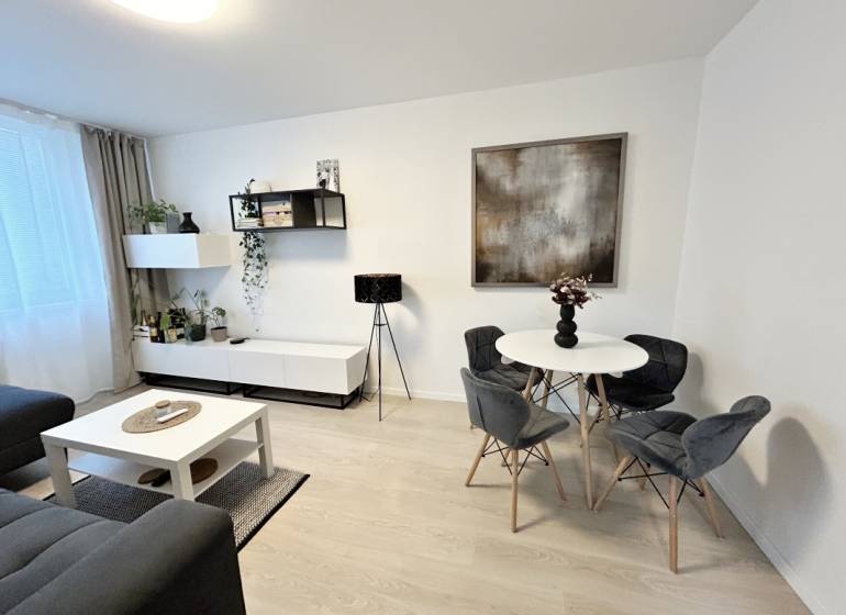 Innenraum einer 2-Zimmer-Wohnung mit Tisch, Stühlen und Dekorationen, Boden mit Holzdekor.