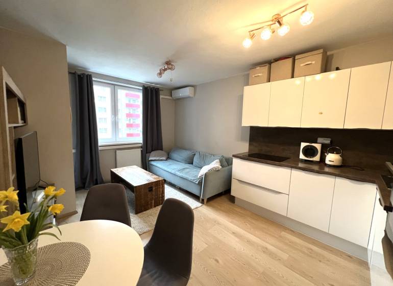 Küche und Wohnzimmer in einer 2-Zimmer-Wohnung mit Holzboden.