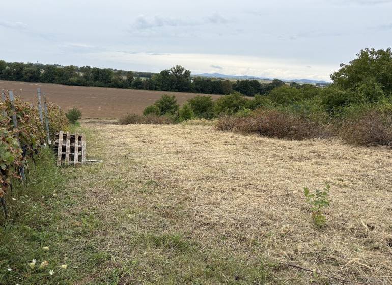 Die Gärten in Zvončín bieten einen Blick auf die Wiesen und Felder in der Gegend von Zvončín.