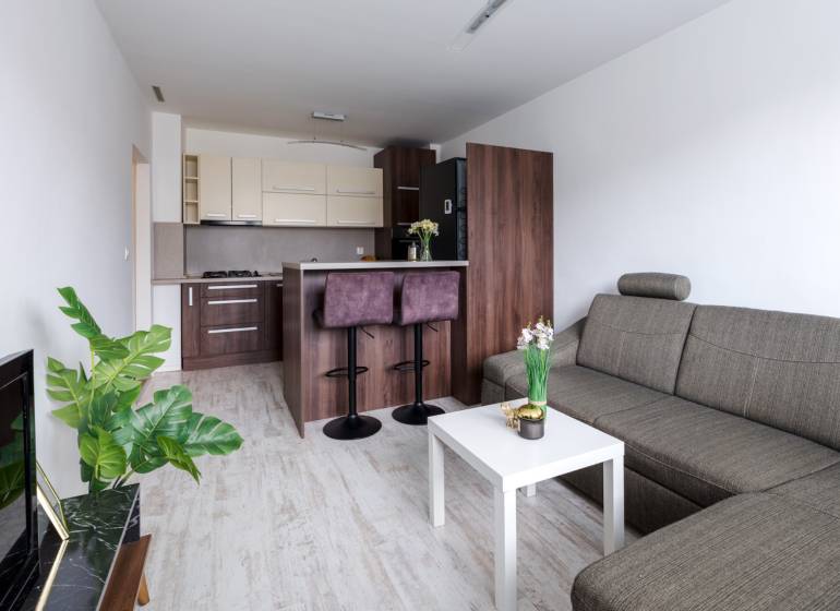 Wohnzimmer mit Küche, Sofa, Bartresen und Holzboden in einer Zweizimmerwohnung.