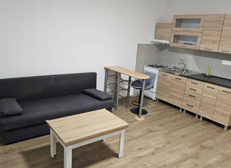 Einzimmerwohnung mit Küchenzeile, Sofa und Boden in Holzoptik.