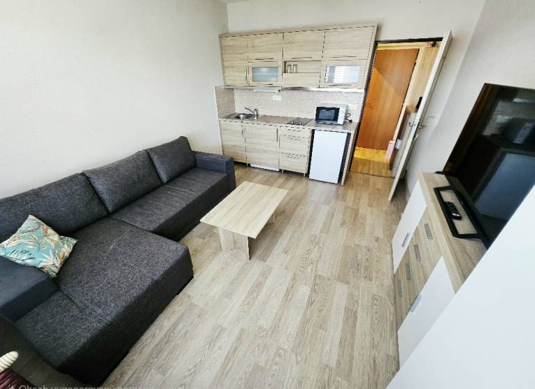 Einzimmerwohnung mit Sofa, Küchenzeile und Holzboden.