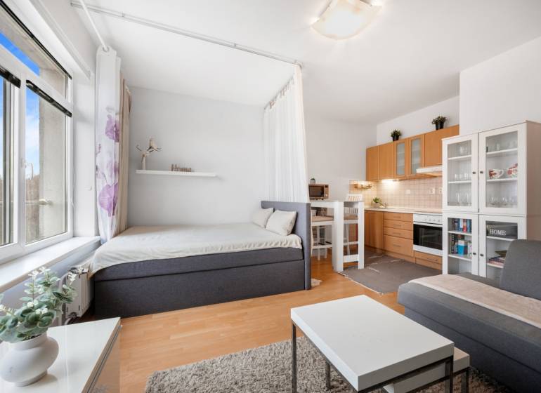 Helle 1-Zimmer-Wohnung mit Kochnische, Bett und Sofa, Boden mit Holzdekor.