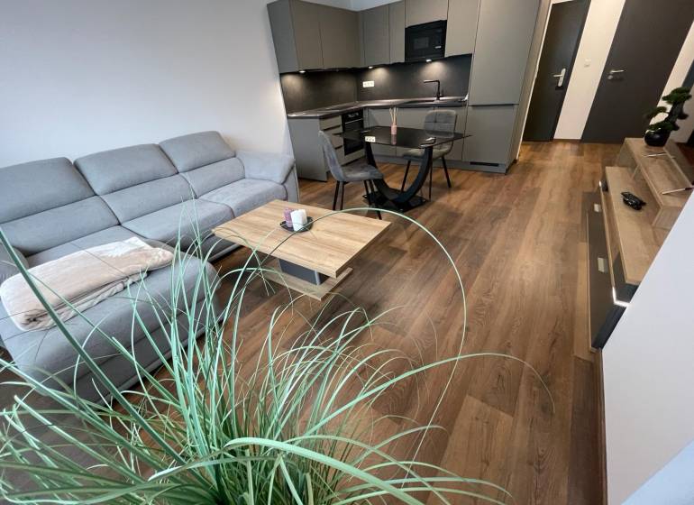 Helles Wohnzimmer mit Küche in Novomestska, Holzboden, geeignet für eine 2-Zimmer-Wohnung.
