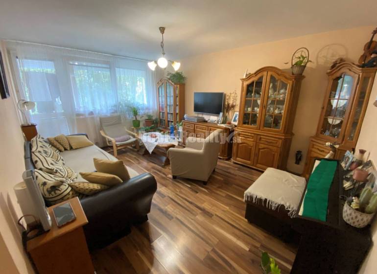 Wohnzimmer in einer 4-Zimmer-Wohnung mit Holzboden, komfortable Sitzgelegenheiten und Möbel.