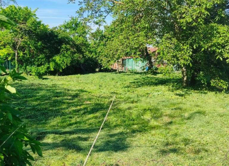 Grünflächen für Wohnzwecke in Dolné Dubové mit reichlich Grün und Bäumen.