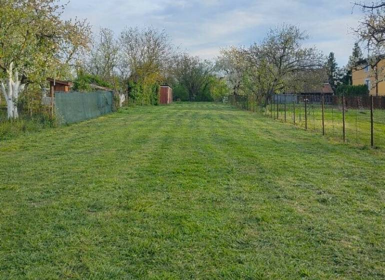 Ein Garten in Michalovce bei einem Einfamilienhaus mit gemähtem Rasen und Bäumen.