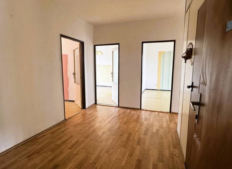 Eingangsbereich in einer 3-Zimmer-Wohnung mit Holzboden und mehreren Türen.