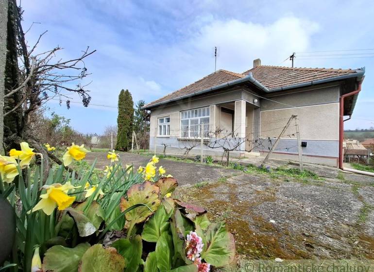 Ein Einfamilienhaus in Ľuba mit einem Blumenbeet und einem gepflasterten Hof.