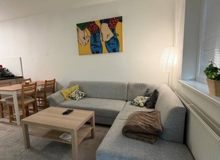Helles Wohnzimmer mit Ecksofa und Kunst in einer 2-Zimmer-Wohnung.