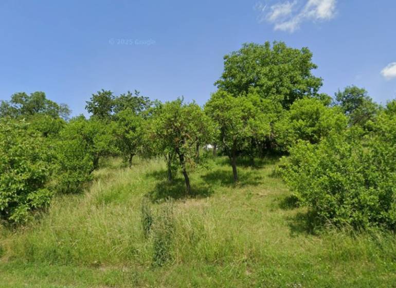 Grüne landwirtschaftliche und forstwirtschaftliche Flächen in Rudník mit vielen Bäumen und Sträuchern.