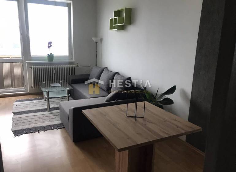 Wohnzimmer in einer 2-Zimmer-Wohnung mit einem Sofa und einem Boden in Holzoptik.