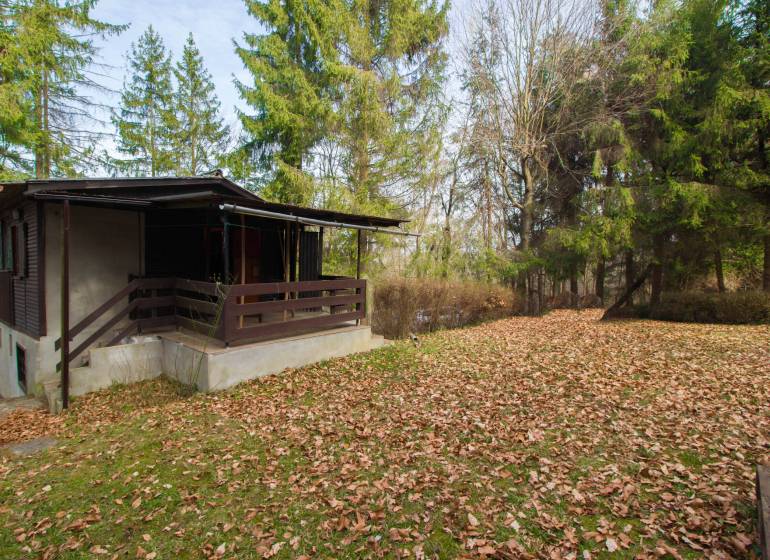 Eine Hütte in der Natur auf Erholungsgrundstücken in Holčíkovce, umgeben von Nadelbäumen.