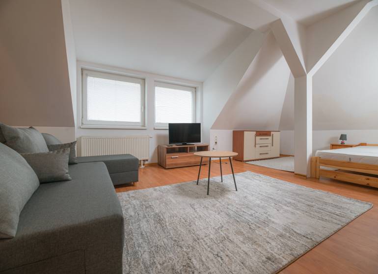 Dachzimmer in einer 2-Zimmer-Wohnung mit Sofa, Teppich und Holzboden.