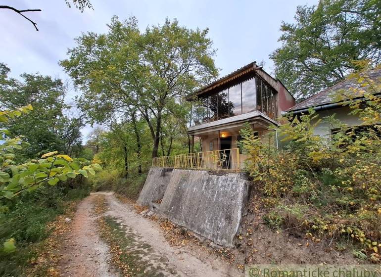 Eine Hütte in Kamenín mit einem verglasten Obergeschoss, umgeben von Bäumen und einem Waldweg.