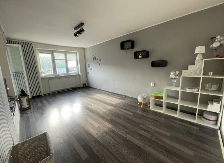 Wohnzimmer mit Holzboden, Dekorationen und Regalen in einer 3-Zimmer-Wohnung.