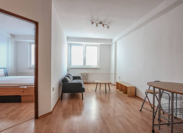 Innenraum einer 2-Zimmer-Wohnung mit Sofa, Tisch und Boden in Holzoptik.