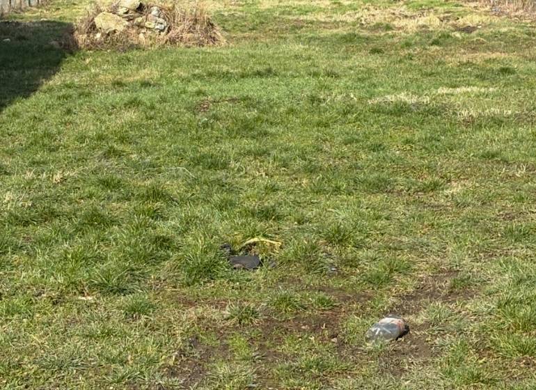 Baugrundstück in Michalovce mit Grasbewuchs und Umzäunung.