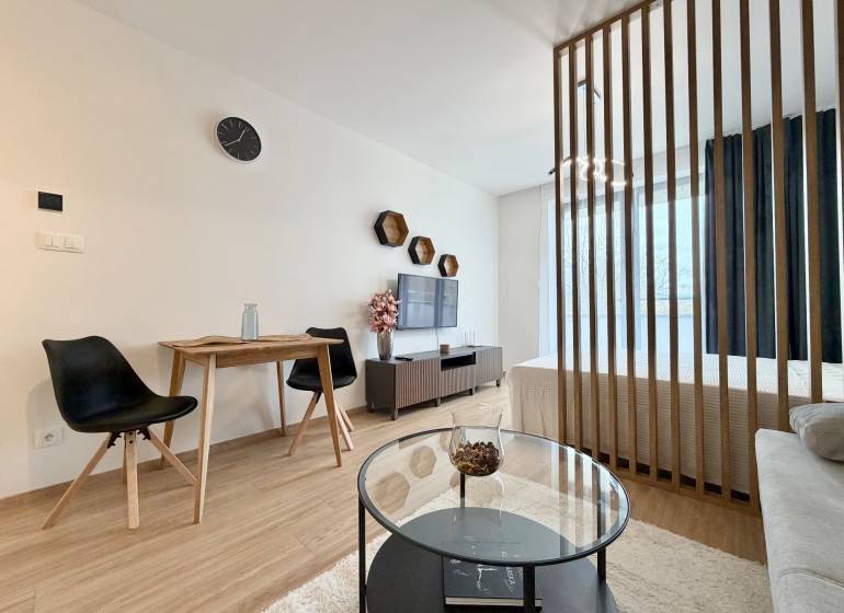 1-Zimmer-Wohnung mit Holzboden, Trennwand und Fernseher.