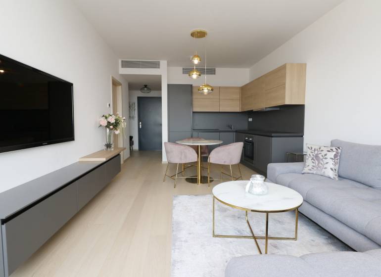 2-Zimmer-Wohnung mit Holzboden, grauem Sofa und minimalistischer Küche.